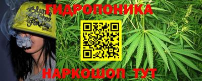 хмурый Краснознаменск