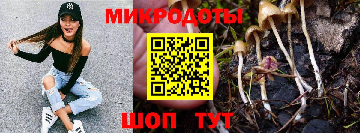 Галлюциногенные грибы Psilocybe  Псилоцибиновые грибы Magic Shrooms  Екатеринбург  Вход с VPN 